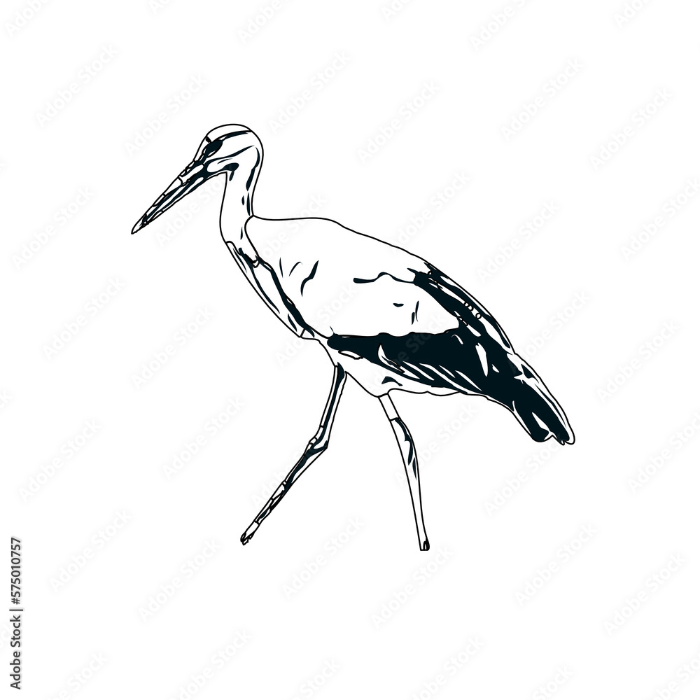 Obraz premium Black and white sketch of a stork with transparent background