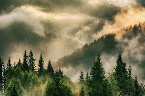 Leinwand Poster Misty mountain landscape