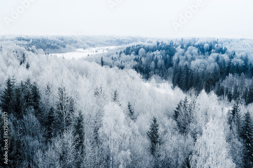 Early morning view of the frozen forest from the tower. In Estonia, near Karula National Park