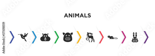 animals filled icons with infographic template. glyph icons such as humming bird, wombat, hog, gazelle, marten, hare vector.