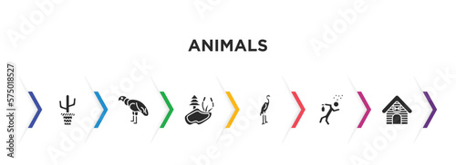 animals filled icons with infographic template. glyph icons such as boho, condor, pond, heron, drunk, kennel vector.