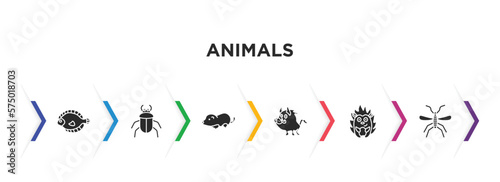 animals filled icons with infographic template. glyph icons such as flounder, beetle, mole, boar, hedgehog, mosquito vector.