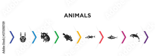 animals filled icons with infographic template. glyph icons such as rabbit, capybara, platypus, pike, tuna, grampus vector.
