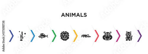 animals filled icons with infographic template. glyph icons such as seaweed, perch, lion, crocodile, hippopotamus, siberian husky vector.