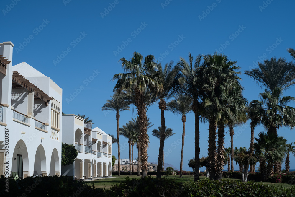 Palm trees against white home by the beach with blue sky and sand The top of the house or apartment with nice window