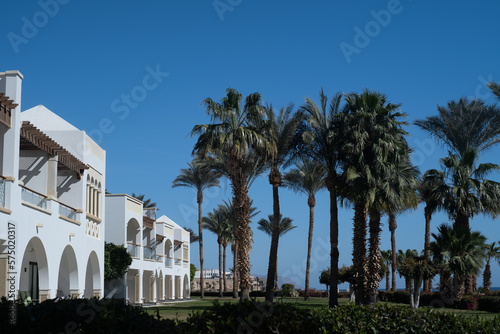 Palm trees against white home by the beach with blue sky and sand The top of the house or apartment with nice window © Svetlana Golovko