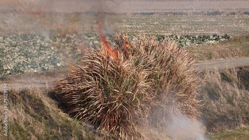 Bush catches fire beside narrow road on rural farm