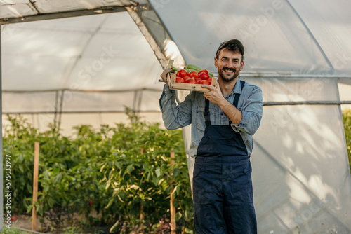 Portrait of a young guy holding a crate of fresh produce while working in a greenhouse on a farm.