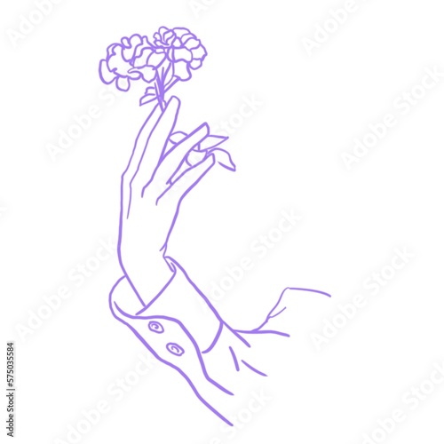 A hand in a shirt holding a flower.  Graceful hand with a flower.  Line Style