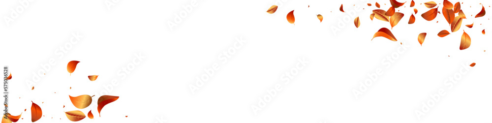 Obraz premium Red Leaves Fly Vector White Transparent Panoramic