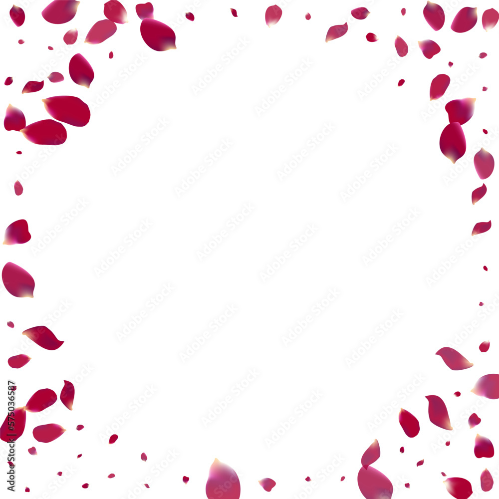 Purple Petal Beauty Vector White Background. Purple Petal Beauty Vector White Background.