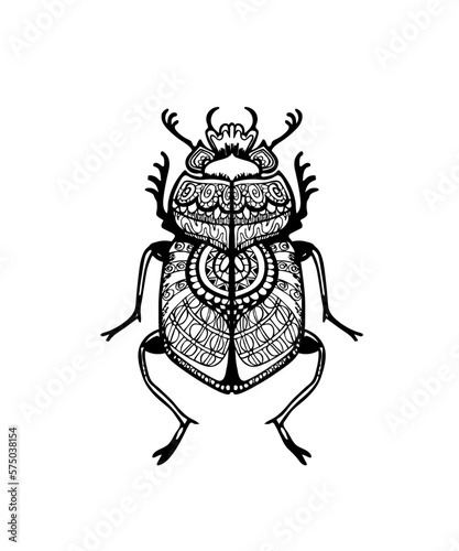 Scarab beetle sketch with ornate tangle pattern