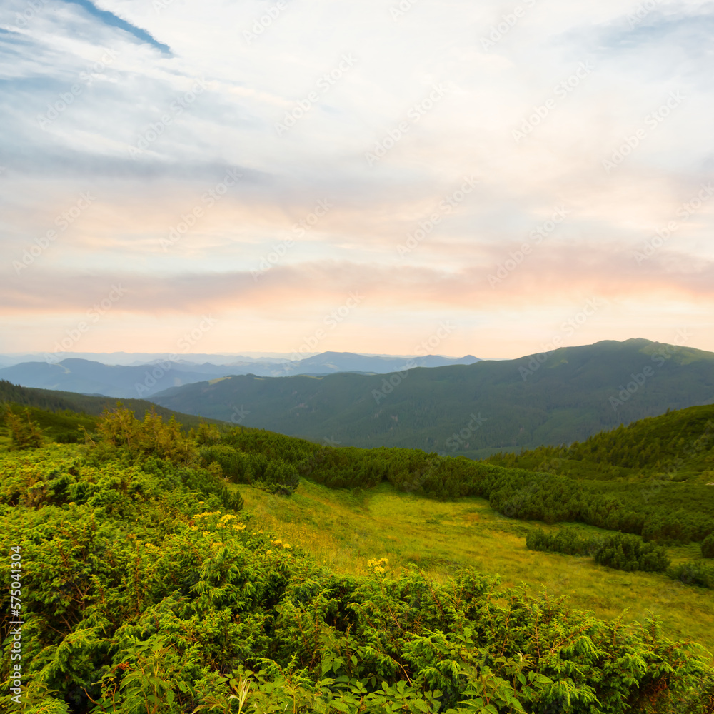Obraz premium green mountain valley at the evening