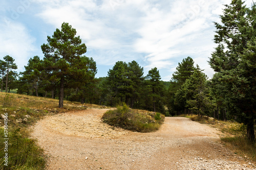 imagen de un cruce de caminos de tierra con árboles y el cielo azul con nubes  © carles