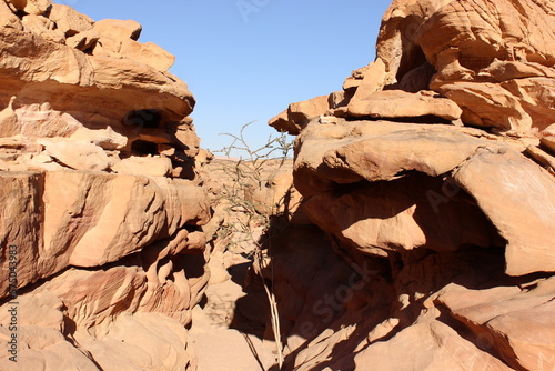 rocks in the desert
