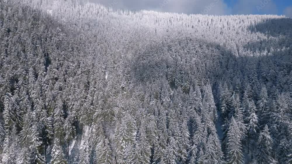 Aerial view of snowy forest in cold sunny winter Travel Background Aerial view of snowy forest in cold sunny winter Travel Background