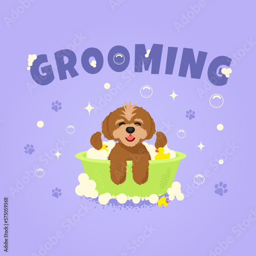 Maltese puppy dog having a bath. Pets. Brown little happy dog. Illustration for grooming salon with  GROOMING  inscription