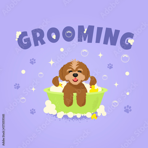 Maltese puppy dog having a bath. Pets. Brown little happy dog. Illustration for grooming salon with "GROOMING" inscription