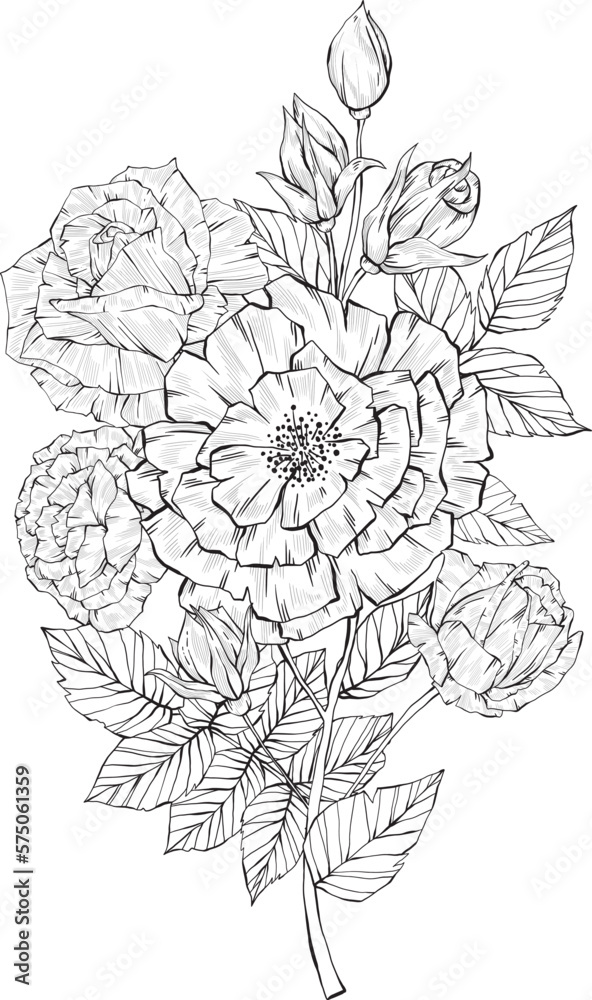 Hand Drawn arrangement of rose flowers, Detailed illustration of roses for clothing, home decor, cards and templates, scrap booking, post cards, frames.