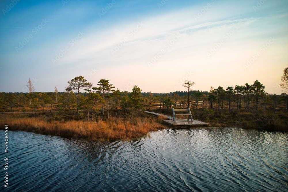 Fototapeta premium A drone photo of expansive summer swamps with winding streams, tall reeds and grasses, and green and brown wetlands. Capturing the nature scenery of this remote and unspoiled wilderness