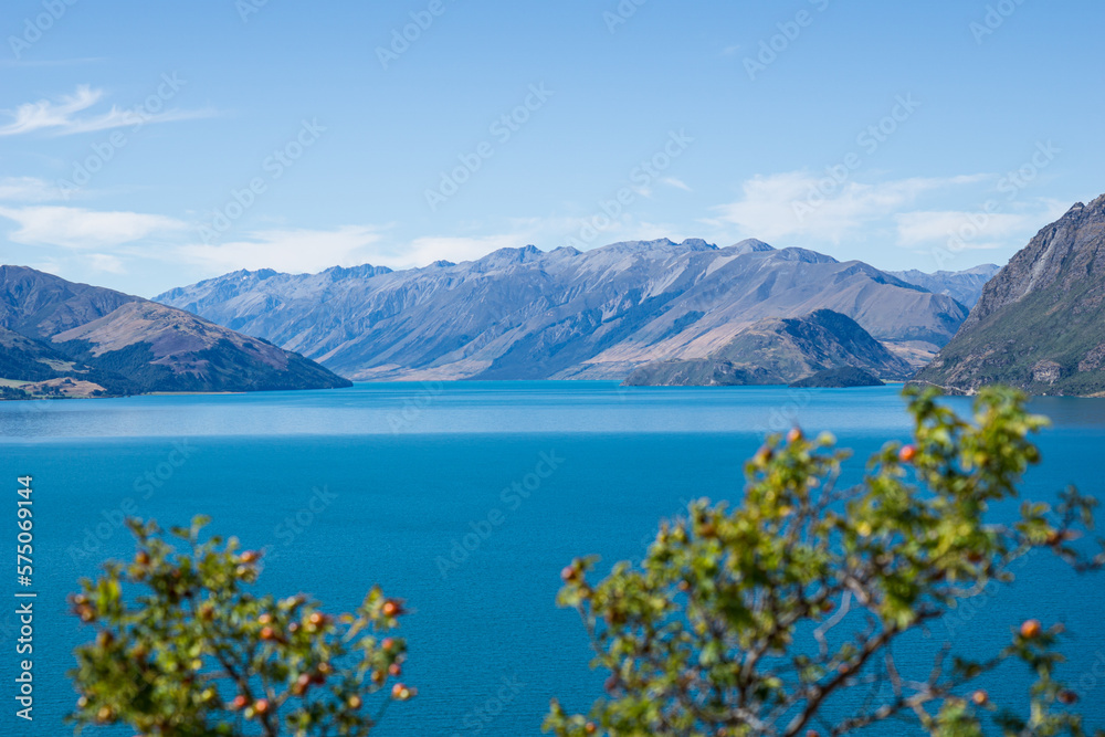Türkiser See mit grünen Pfalnzen am Ufer und Bergen bei blauem Himmel und Sonne in Neuseeland.