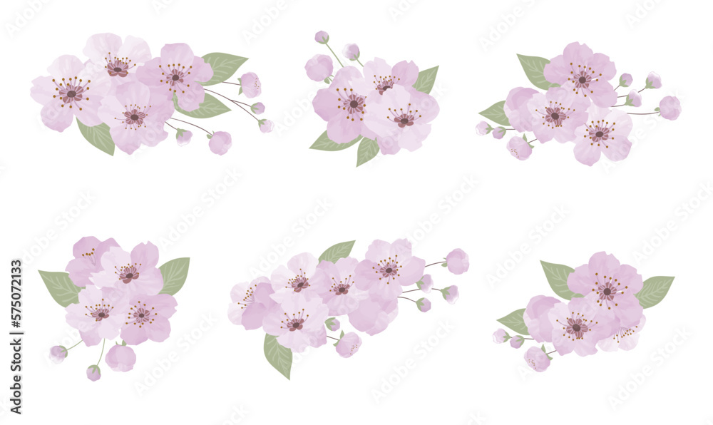 Spring sakura cherry blooming flowers bouquet
