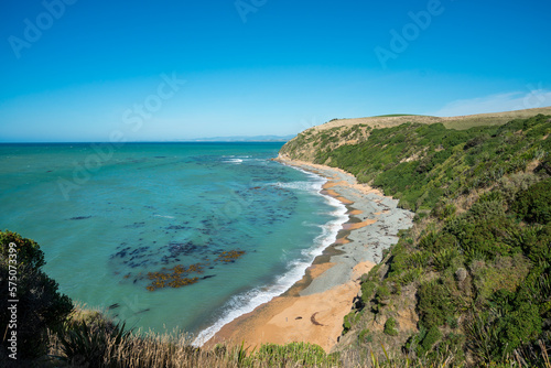 Küste mit Meer und Bäumen bei blauem Himmel und Sonne in Neuseeland. © hannesheigl