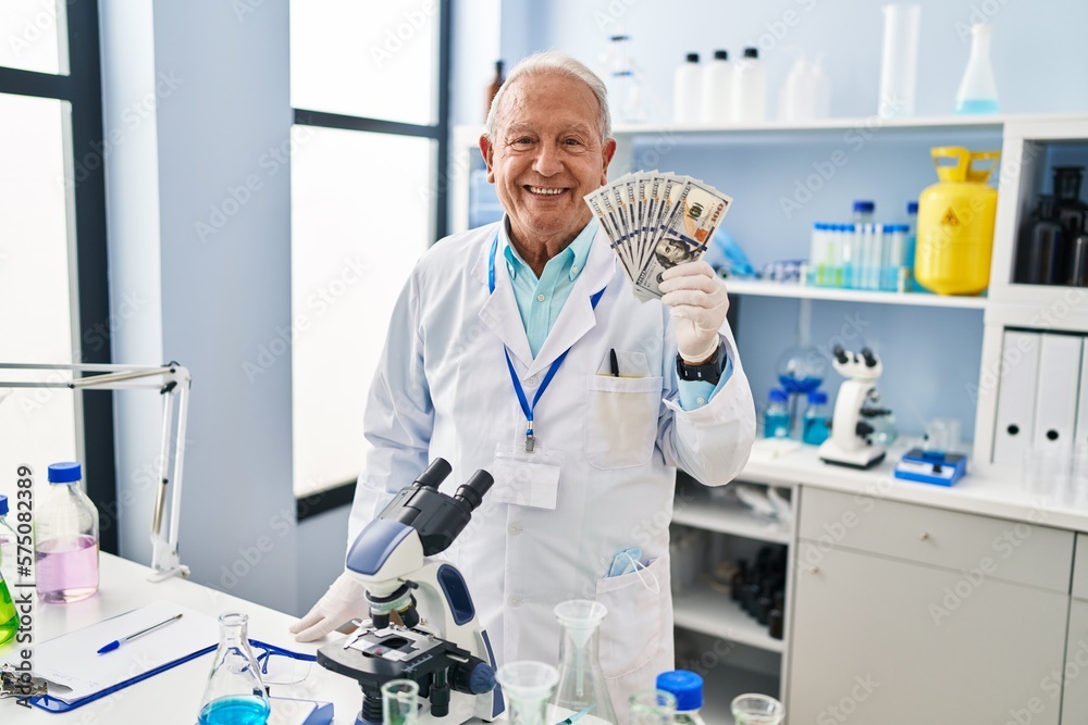 Senior scientist with grey hair working at laboratory holding dollars looking positive and happy standing and smiling with a confident smile showing teeth