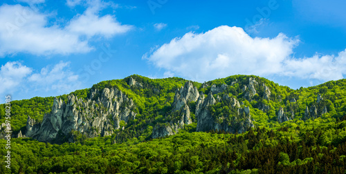 Panorama of rocks mountain emerging from the forest