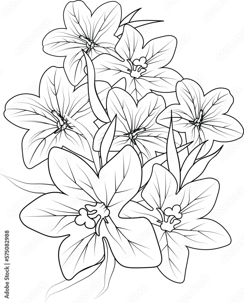 Campanula Rapunculoides Creeping Bell-flower Drawing by English School -  Fine Art America