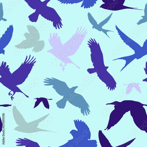 Bird Pattern