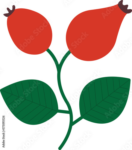 Rose hip