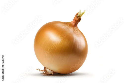 Onion bulb isolated on white background. One raw golden onion