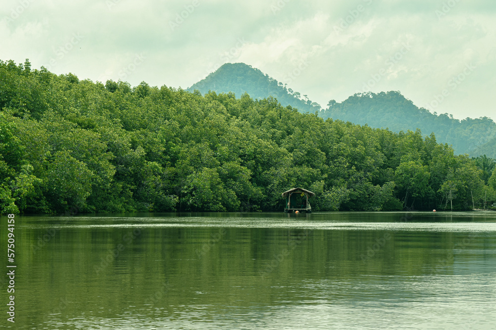 
 Mangrove forest and river and life culture Ban Nam Rap, Khao Jom Pa, Amphoe Kantang, Trang Province, Thailand