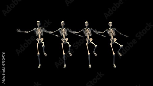 Skeletons Can Can Dance 3D Animation With Alpha Video