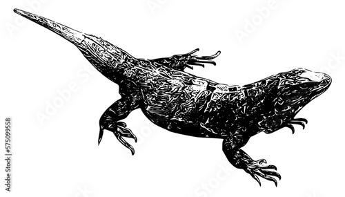 silhouette of a lizard
