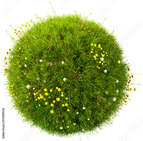 Grass circle, 3d render. Grass sphere with dandelions, isolated. Transparent background, PNG file