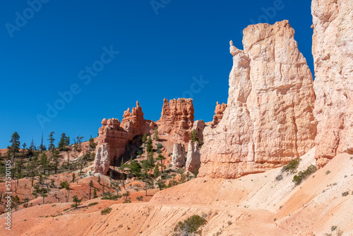 Panoramic Fairyland hiking trail with scenic view on massive hoodoo wall sandstone rock formation in Bryce Canyon National Park, Utah, USA. Pine trees along the way. Unique nature in barren landscape