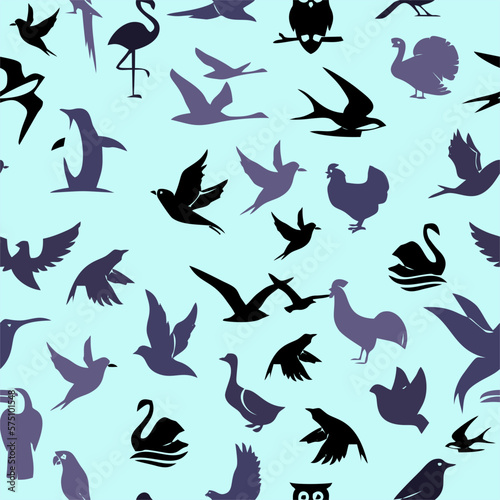 Bird Pattern