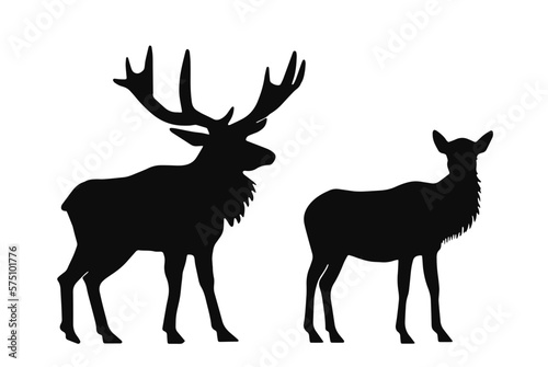Fototapeta Naklejka Na Ścianę i Meble -  moose deer pair, vector silhouette set