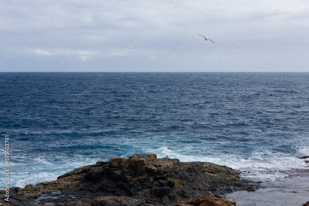 A beautiful view of the volcanic shore of Fuerteventura with waves crashing into the rocks and a bird flying overhead A beautiful view of the volcanic shore of Fuerteventura with waves crashing into the rocks and a bird flying overhead
