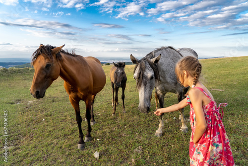 Girl in dress feeds horse with blade of grass. Horses with foal grazing in rural meadow on hill