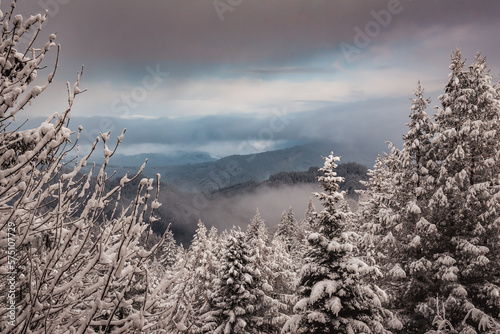 Snowy Humboldt View