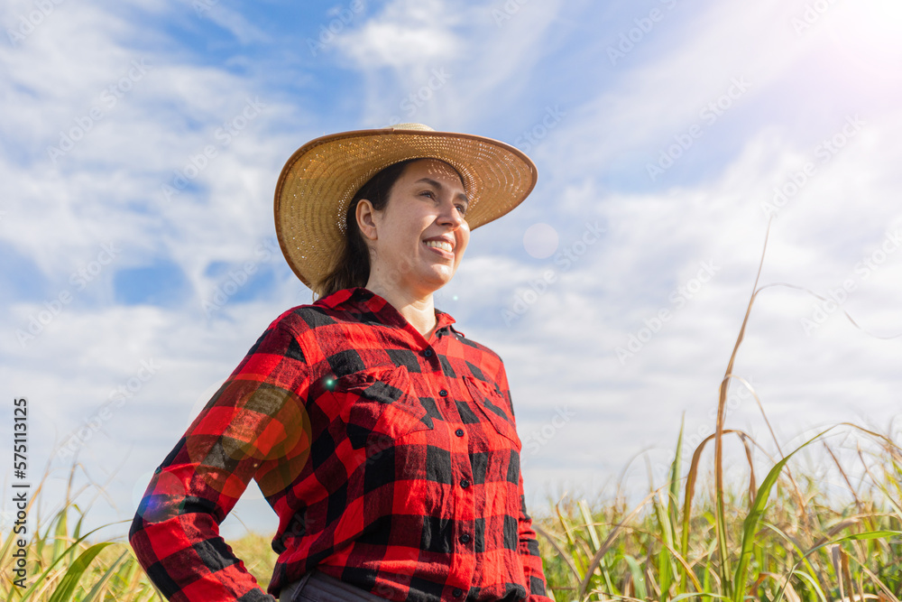 Obraz premium Caucasian woman farmer celebrating good harvest on a sugar cane farm. bumpkin.