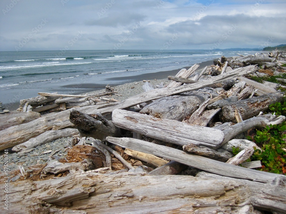 Olympic National Park - Pile of Driftwood on Kalaloch Beach Olympic National Park - Pile of Driftwood on Kalaloch Beach