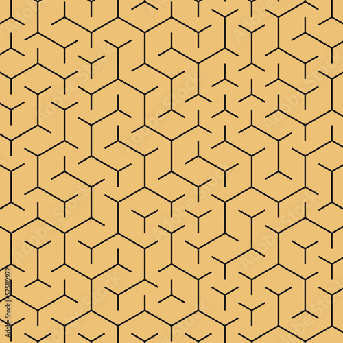  Hexagonal Maze pattern abstract illustration