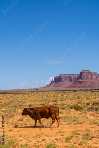Cows walking through the southern Utah desert with Monument Valley in the background.
