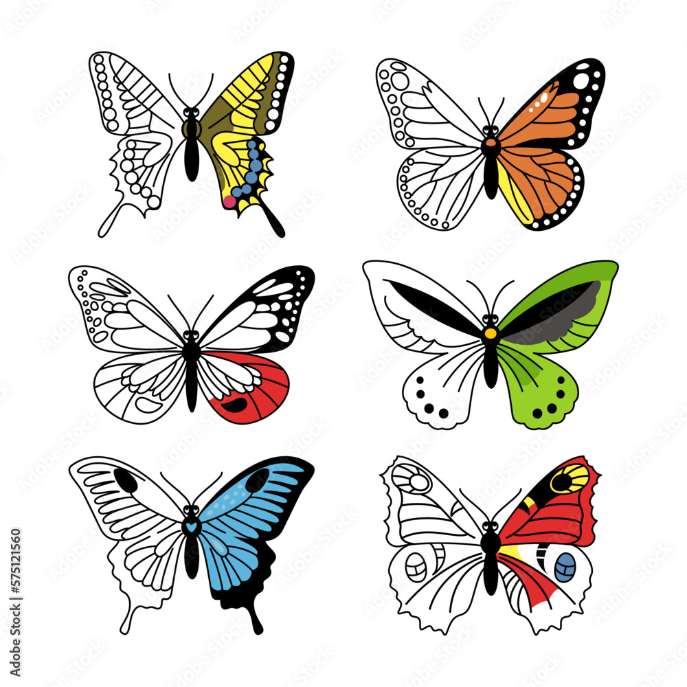 Butterfly set. Hand-drawn linear silhouette, outline and colored wing. Collection of insects. Freehand vector illustration Butterfly set. Hand-drawn linear silhouette, outline and colored wing. Collection of insects. Freehand vector illustration