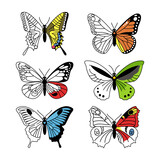 Butterfly set. Hand-drawn linear silhouette, outline and colored wing. Collection of insects. Freehand vector illustration