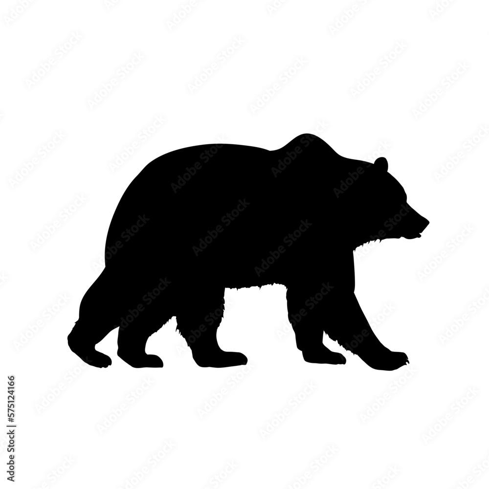 Fototapeta premium silhouette of a bear